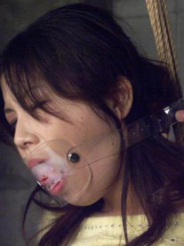 Розы Прованса фото